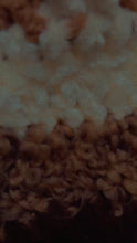 Load and play video in Gallery viewer, Bags
